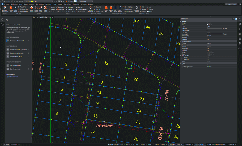 Illustration of bulk creation workflows for lots, easements and breaklines